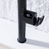 Digital Display Kitchen Faucet with 3-Function Pull Down Sprayer