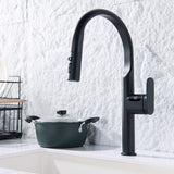 Single Handle Digital Display Kitchen Faucet with 3 Function Pull Out Sprayer RB1261