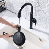 Single Handle Digital Display Kitchen Faucet with 3 Function Pull Out Sprayer RB1261