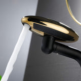 Rotatable Multi-Function Faucet with Dish-Shaped Spout