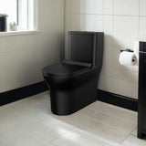 Dual Flush Elongated Standard One Piece Toilet with Comfortable Seat Powerful & Quiet Dual Flush Modern Toilet