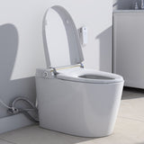 Smart Bidet Toilet with Remote, Heated Seat & Auto Flush