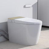 Floor Mounted Multiple Function Automatic Flush Intelligent WC Sanitary Sensor Smart Toilet