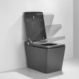 Smart Toilet with Bidet, Built-In Water Tank, Auto Flush & Heated Seat