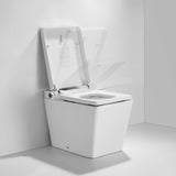 Smart Toilet with Bidet, Built-In Water Tank, Auto Flush & Heated Seat