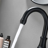 Close up detail of black bathroom faucet spout and aerator design