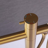Brushed gold bathtub faucet control with hot, cold, and function markings