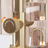 Brushed Gold 316 Stainless Steel Outdoor Freestanding Tub Faucet with Hand Shower