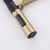 Close-up of dual-function pull-down sprayer with stream and spray button