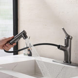 Bathroom Sink Faucet with Pull-Out Spray and Hot & Cold Functionality
