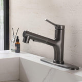 Bathroom Sink Faucet with Pull-Out Spray and Hot & Cold Functionality