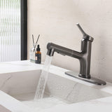 Bathroom Sink Faucet with Pull-Out Spray and Hot & Cold Functionality