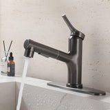 Bathroom Sink Faucet with Pull-Out Spray and Hot & Cold Functionality