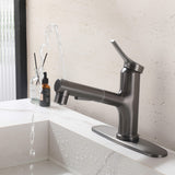Bathroom Sink Faucet with Pull-Out Spray and Hot & Cold Functionality