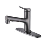 Bathroom Sink Faucet with Pull-Out Spray and Hot & Cold Functionality
