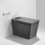 Smart Toilet with Bidet, Built-In Water Tank, Auto Flush & Heated Seat