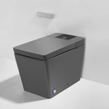 Smart Toilet with Bidet, Built-In Water Tank, Auto Flush & Heated Seat