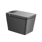 Smart Toilet with Bidet, Built-In Water Tank, Auto Flush & Heated Seat