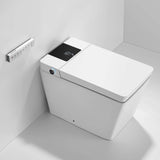 Smart Toilet with Bidet, Built-In Water Tank, Auto Flush & Heated Seat