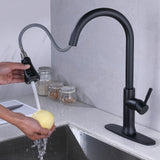 Matte Black Pull Down Touch Single Handle Kitchen Faucet RB0846