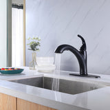Two Spray Mode Pull Out Bathroom Sink Faucet with Deck Plate RB0958