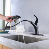 Two Spray Mode Pull Out Bathroom Sink Faucet with Deck Plate RB0958
