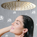 High Pressure Round Stainless Steel Shower Head