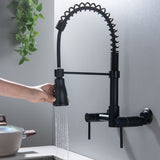 Commercial Solid Brass Pull Down Sprayer Spring Kitchen Sink Faucet RB1156