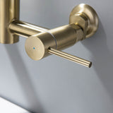 Wall Mount Pull Down Two Handle Kitchen Sink Faucet Brushed Gold RB1157