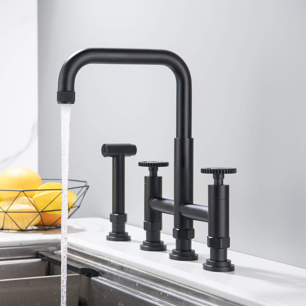 Modern Two Handle Kitchen Faucet with Side Spray Matte Black RB1183