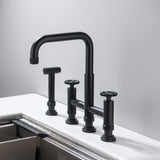 Modern Two Handle Kitchen Faucet with Side Spray Matte Black RB1183