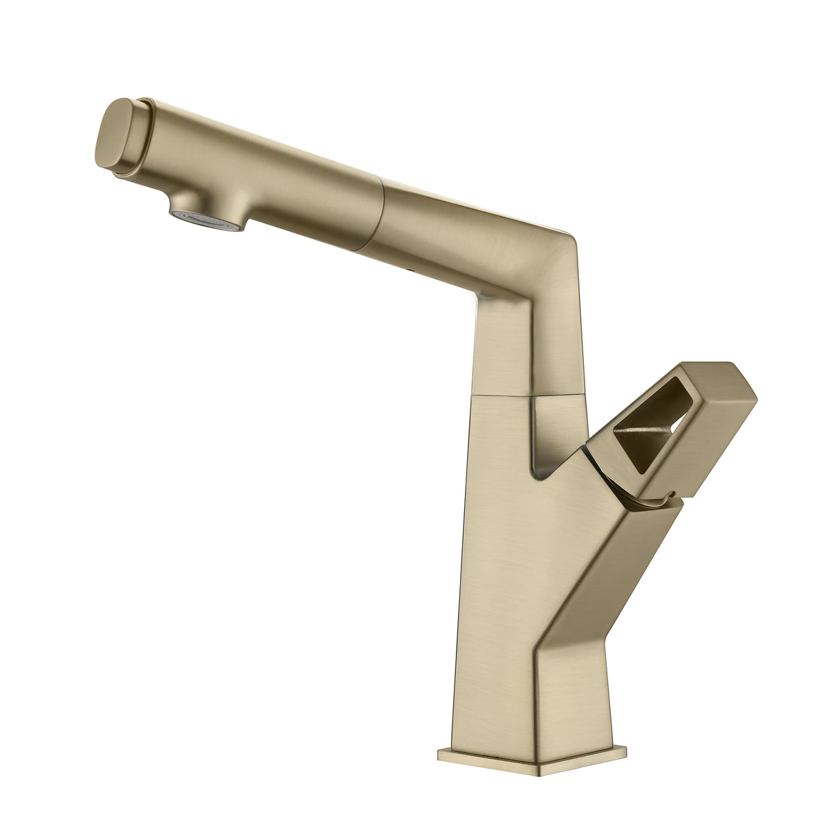 Multi-Functional Mixer with Pull-Out Rinse Head