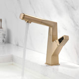 Bathroom Sink Faucet with Pull Out Sprayer Liftable Mixer Tap Brushed Gold RB1196