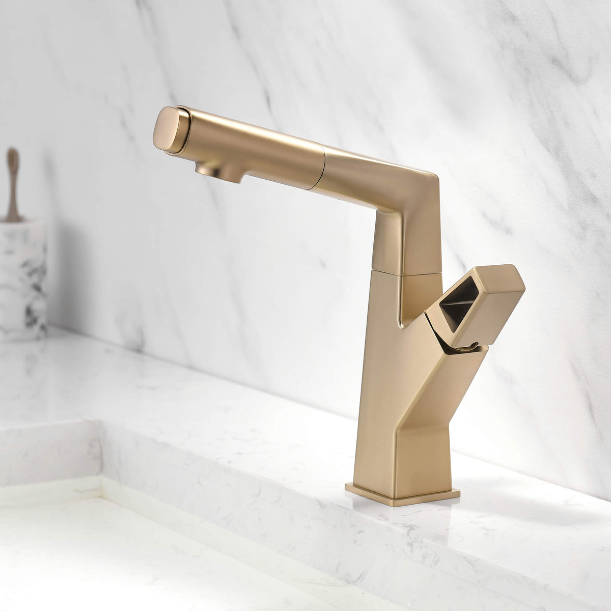 Multi-Functional Mixer with Pull-Out Rinse Head