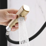 Bathroom Sink Faucet with Pull Out Sprayer Liftable Mixer Tap Brushed Gold RB1196